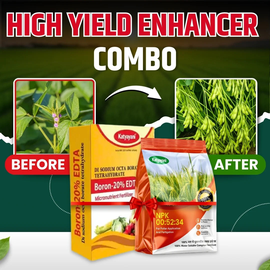 Katyayani High yield Enhancer Combo | NPK 00 52 34 (1KG) and Boron 20% EDTA Fertilizer (200GM)