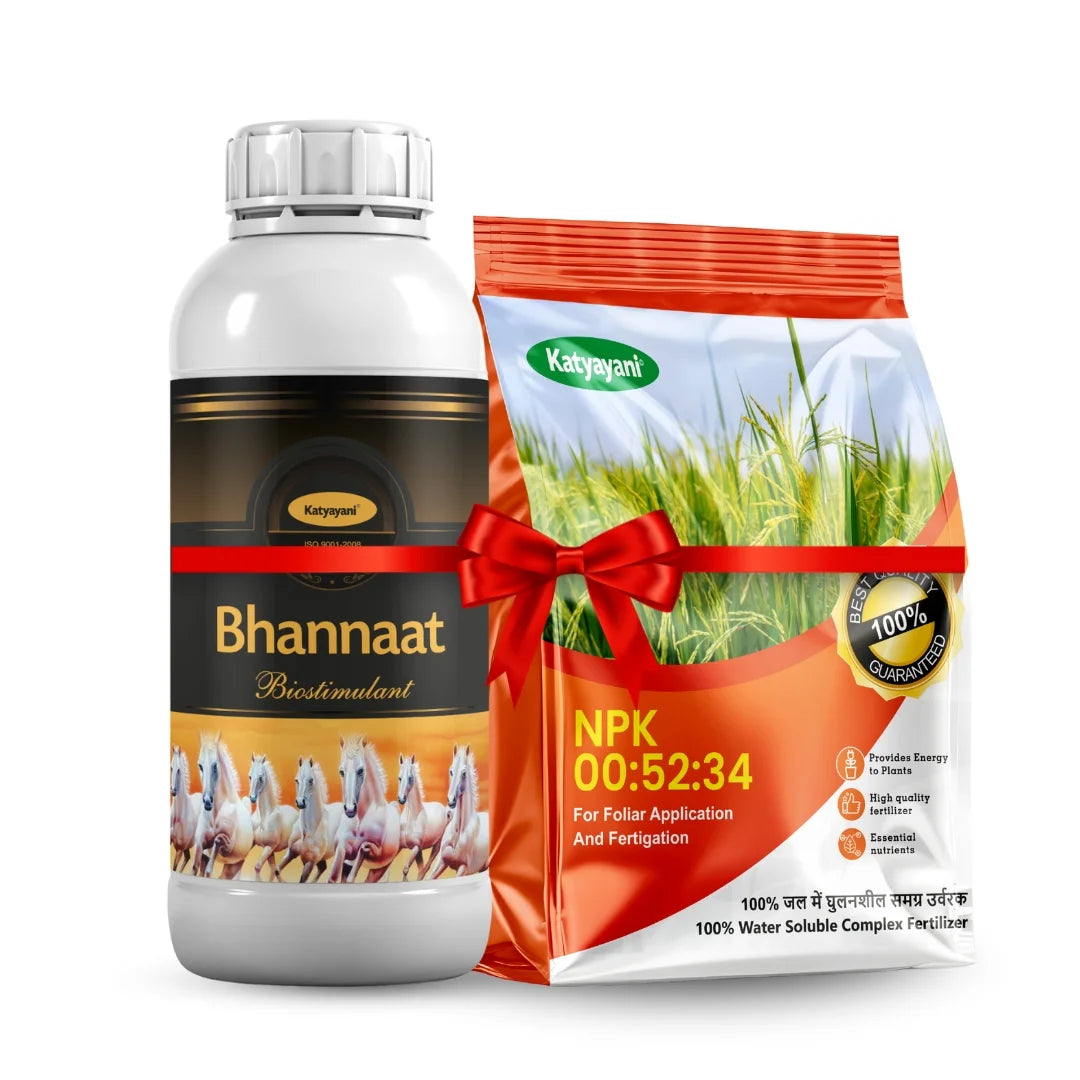 Katyayani Jeera dana vikash Combo