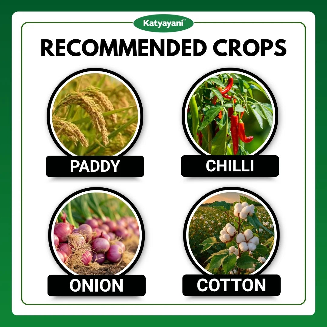 Katyayani Joker | Fipronil 80% WG | Chemical Insecticide