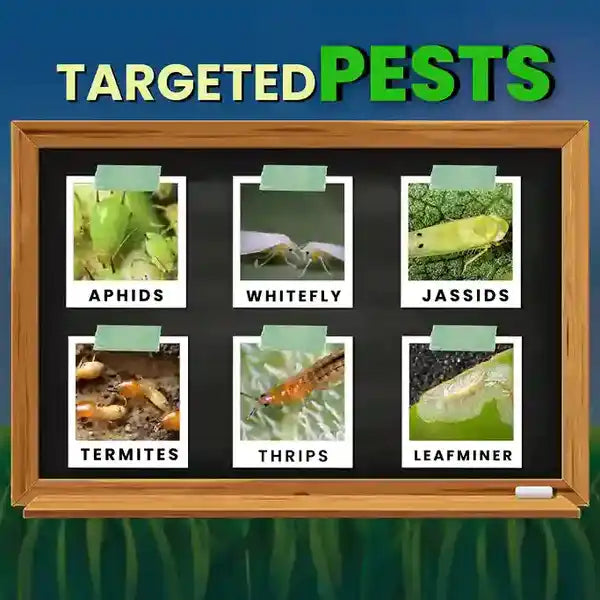 KATYAYANI IMD 178 IMIDACLOPRID 17.8% SL FOR PEST CONTROL