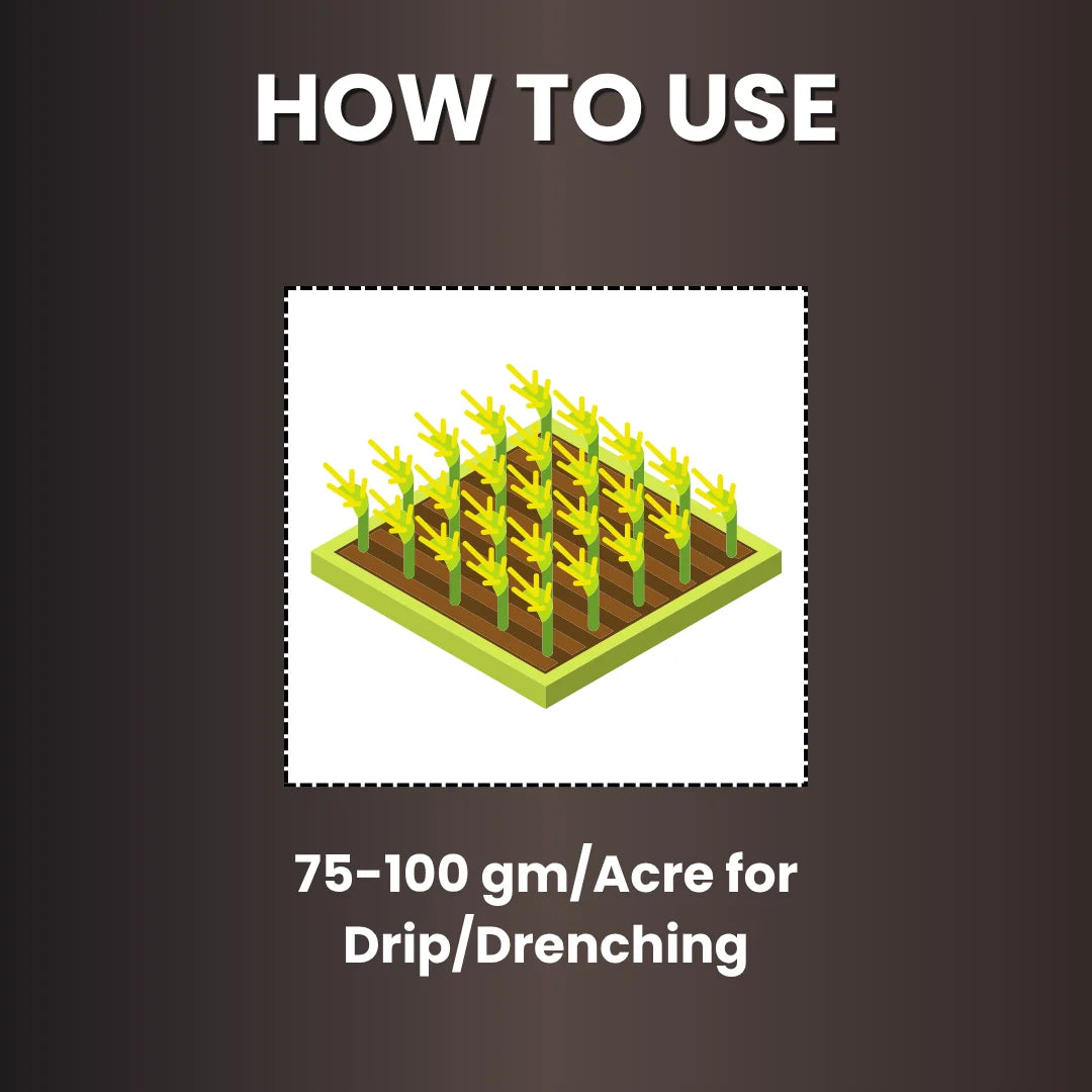 KATYAYANI K-RAJA (MYCORRIZA) Bio Fertilize dosages