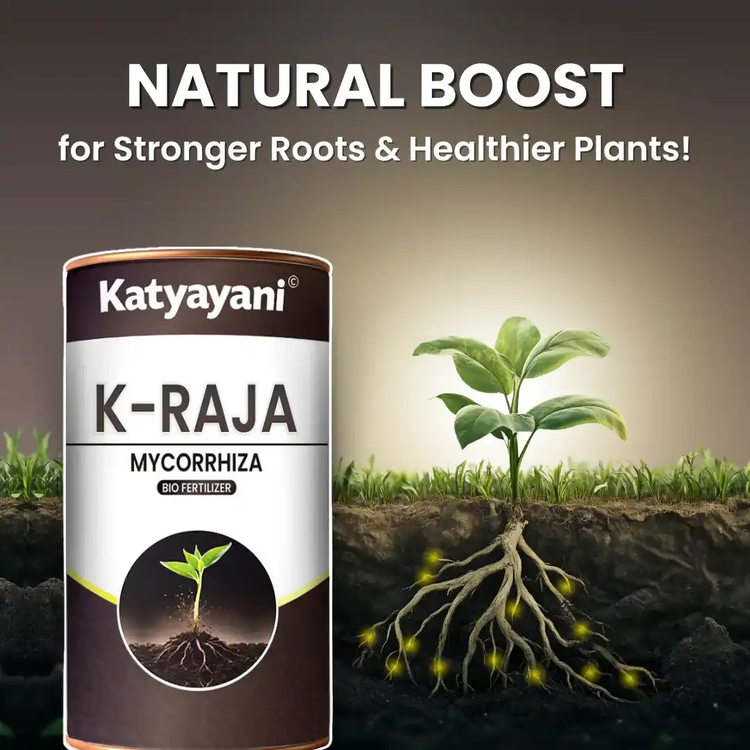 KATYAYANI K-RAJA (MYCORRIZA) Bio Fertilizer
