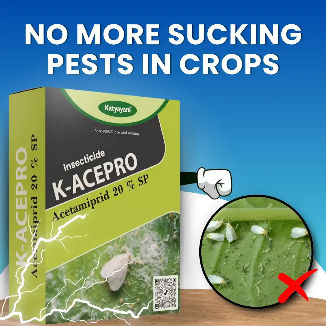 Acetamiprid 20% SP, Effective Systemic Insecticide