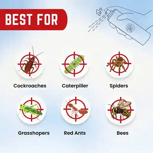 Katyayani 2 In 1 Fogger