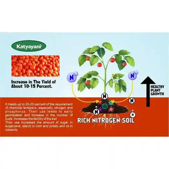 Buy Katyayani Acetobacter | Organic Bio Fertilizer | Katyayani Krishi Direct