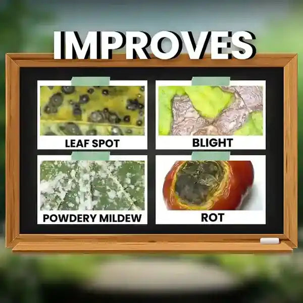 Katyayani All in One Fungicide onine at Katyayani Krishi Direct