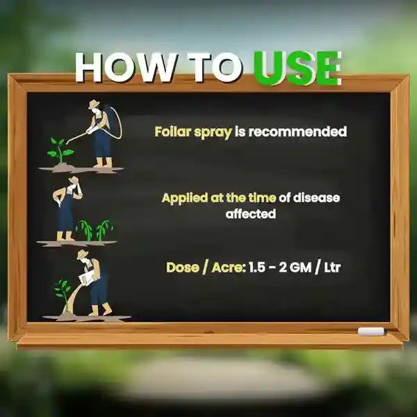 Order katyayani all in one fungicide from Katyayani Krishi Direct