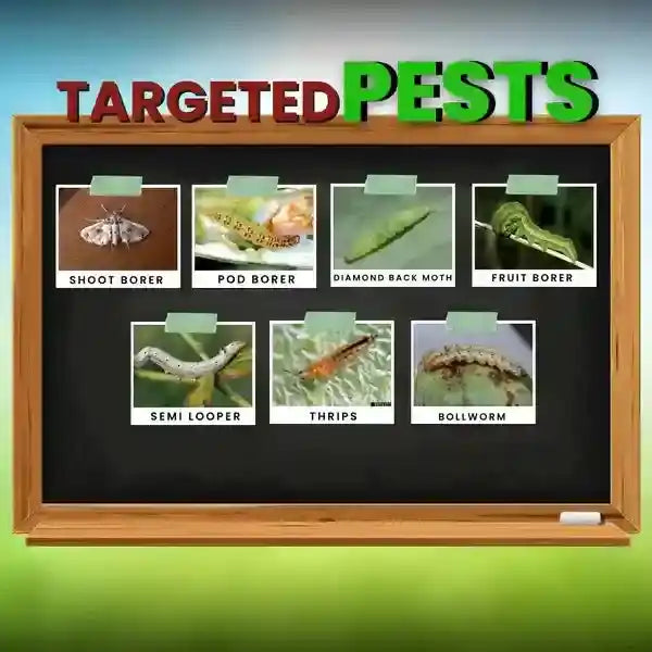 Buy EMA 5 Insecticide | Krishi Seva Kendra