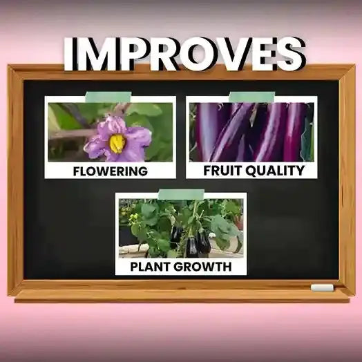 Katyayani Flowering Booster Fertilizer Improve plant growth & Fruit Quality | Katyayani Krishi Direct