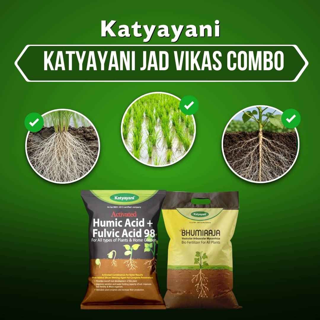 Katyayani JAD VIKAS COMBO