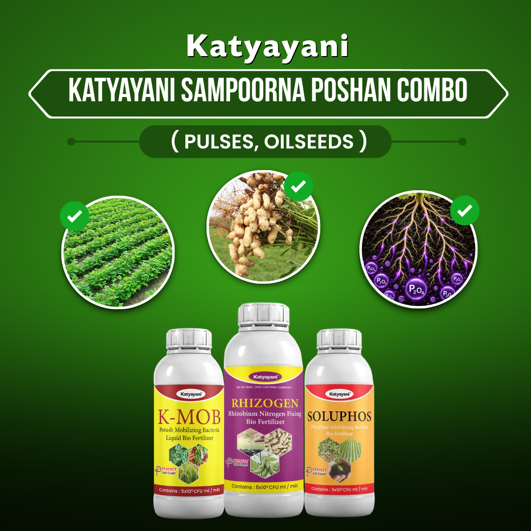 Katyayani Sampoorna Poshan Combo (Pulses & Oilseeds)