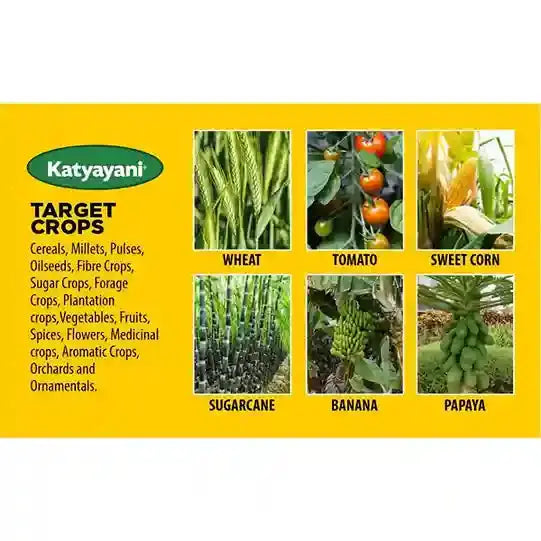 Buy Katyayani Acetobacter | Organic Bio Fertilizer | Katyayani Krishi Direct