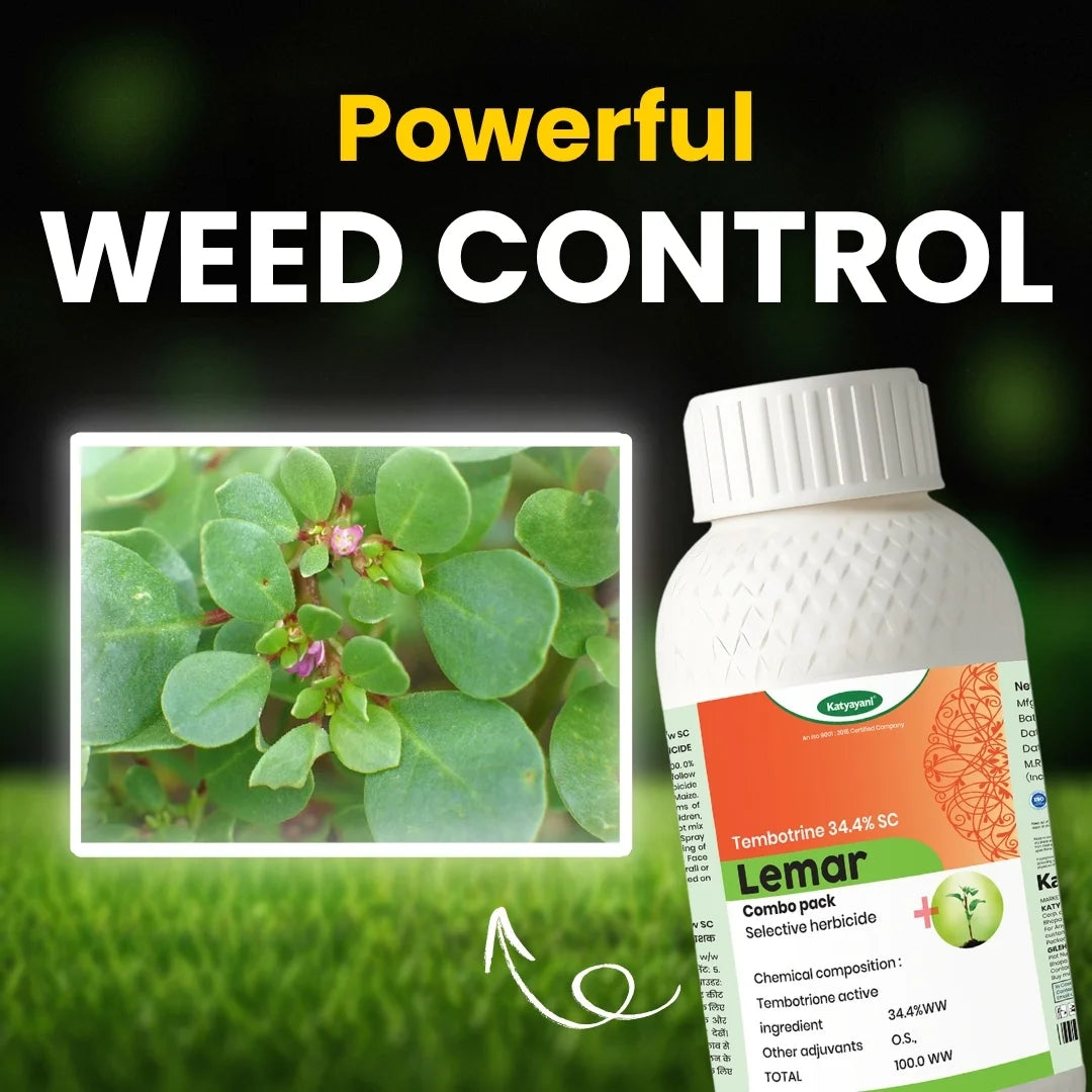 Tembotrione 42% SC (34.4% w/w) weed killer for the grassy and broad leaf weeds