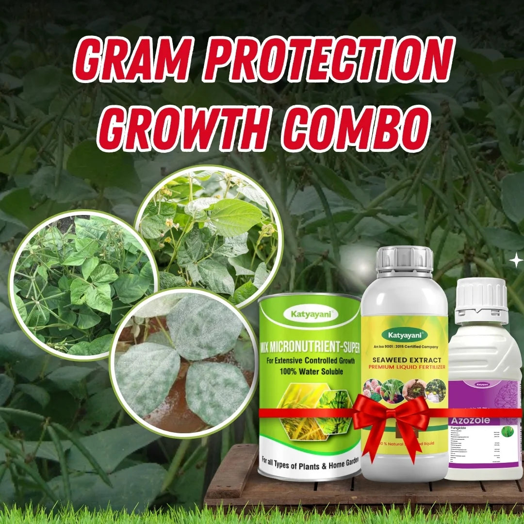 Katyayani Gram Protection + Growth Combo