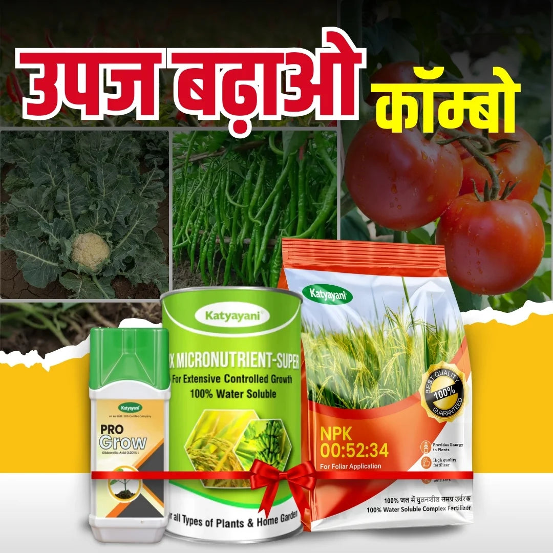 KATYAYANI UPAJ BDAO COMBO