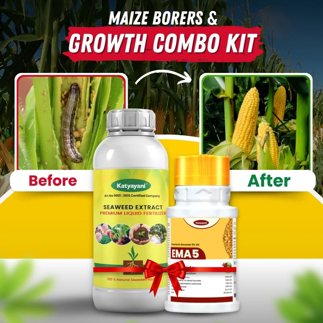 Katyayani Maize Borers & Growth Combo Kit