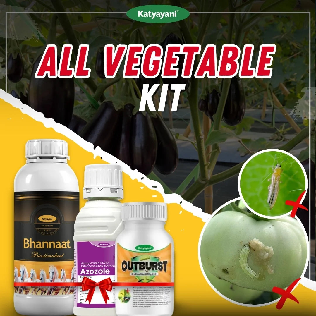Katyayani All Vegetable Kit
