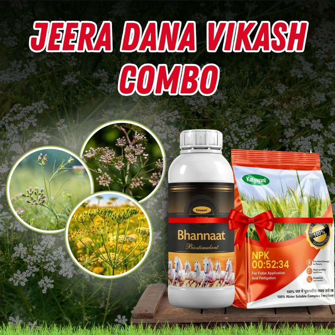 Katyayani Jeera dana vikash Combo