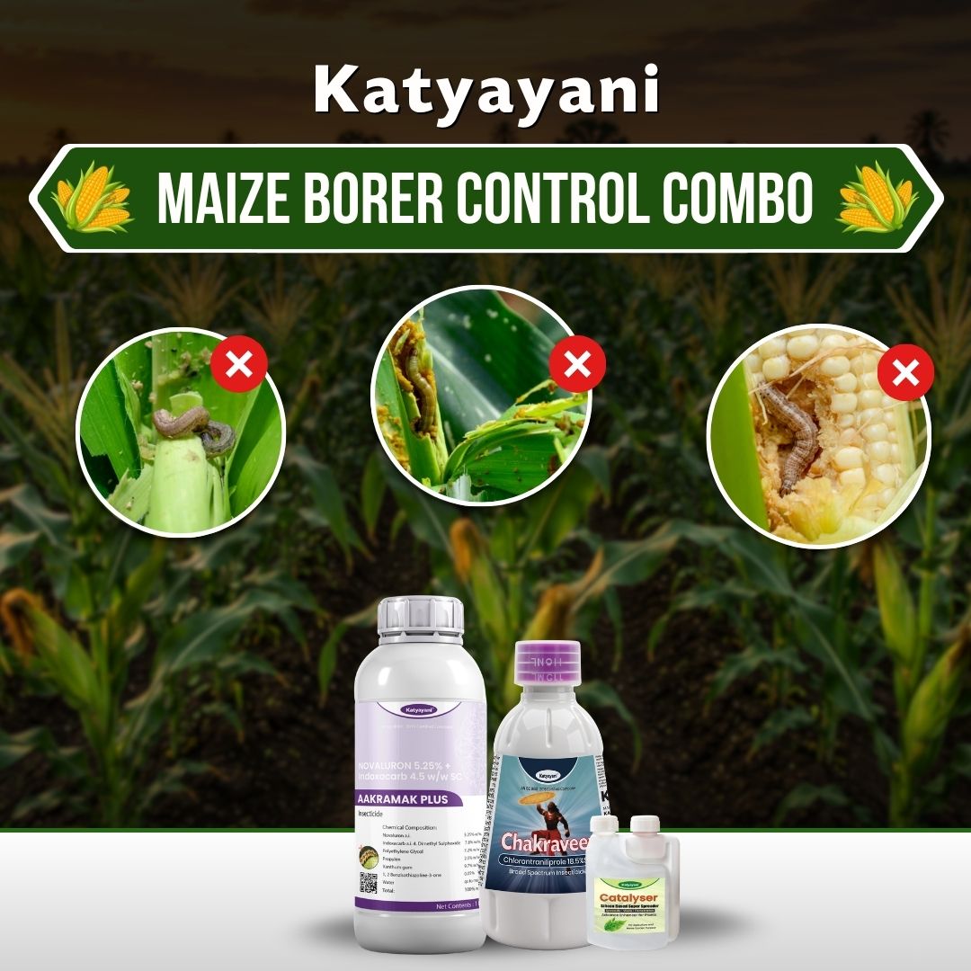 Katyayani Maize Borer Control Combo