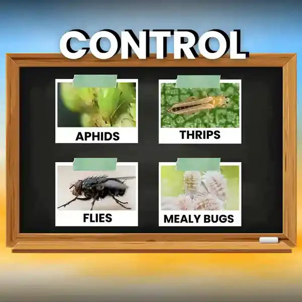 Shop Katyayani malathion insecticide | Best Price at Katyayani Krishi Direct