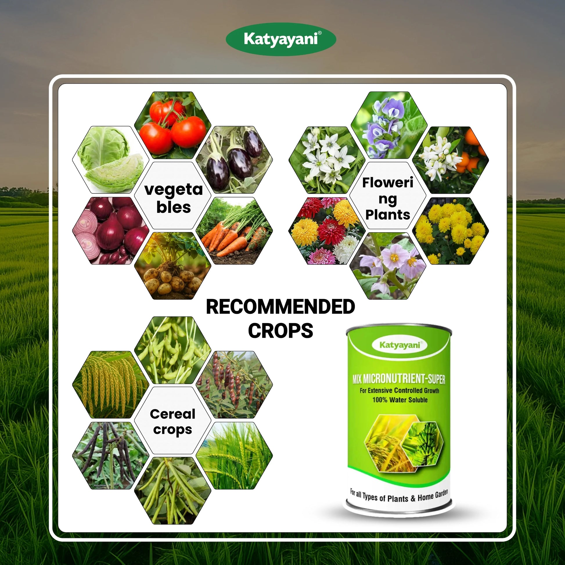 Katyayani Mix Micronutrient Fertilizer | Super for Home Garden, Nursery and Agriculture use