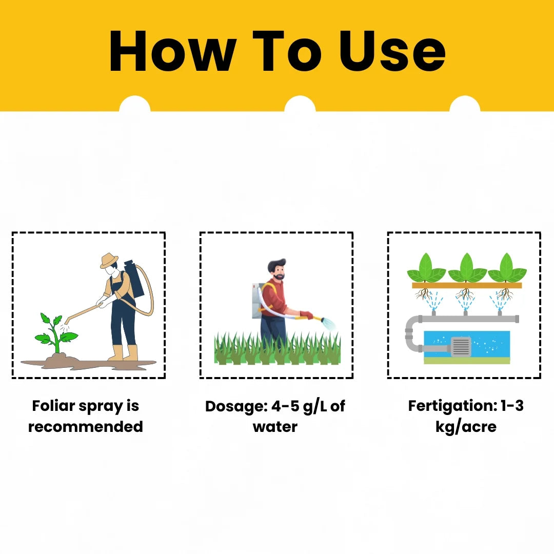 Katyayani NPK 13 00 45 Potassium Nitrate Water Soluble Fertilizer