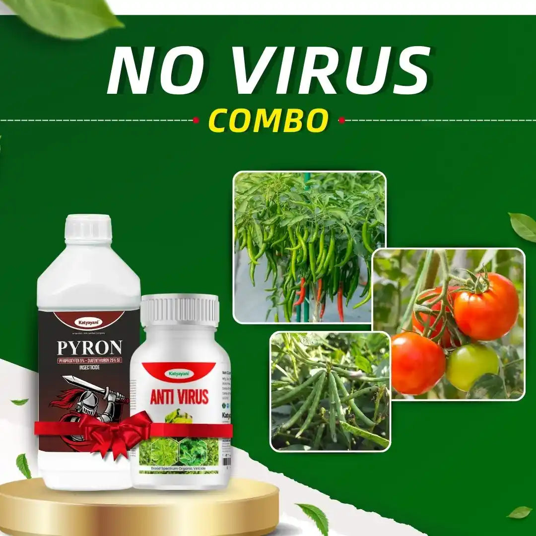 Katyayani No Virus Combo | Special for Moong, Tomato and Chilli