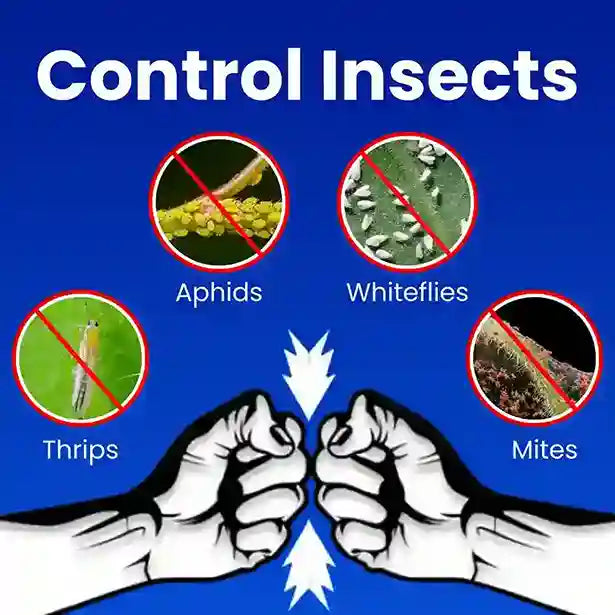 KATYAYANI OZIL Spiromesifen 22.9% SC Insecticide for mites, whiteflies & aphids
