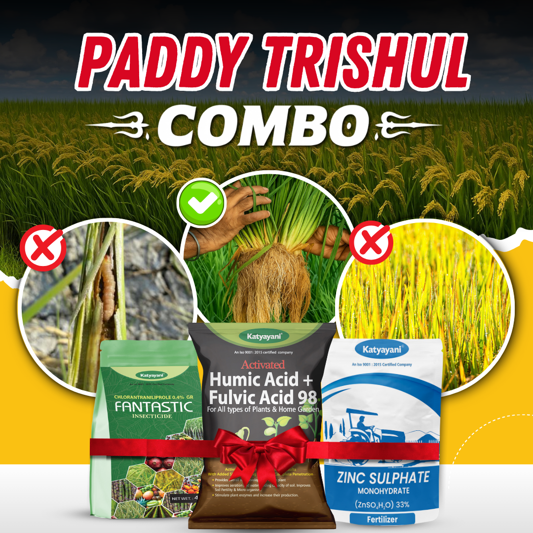 Katyayani Paddy Trishul Combo | Best for Root Growth & High Tillers