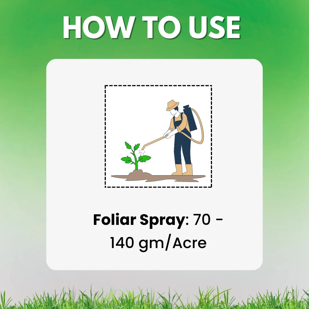 Katyayani Plantivo | Tebuconazole 50% + Trifloxystrobin 25% WG | Broad Spectrum Systemic Fungicide