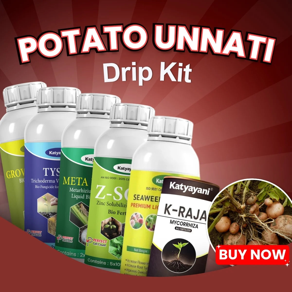 Katyayani Potato Unnati Drip Kit - Shield Against Wilt & Root Rot