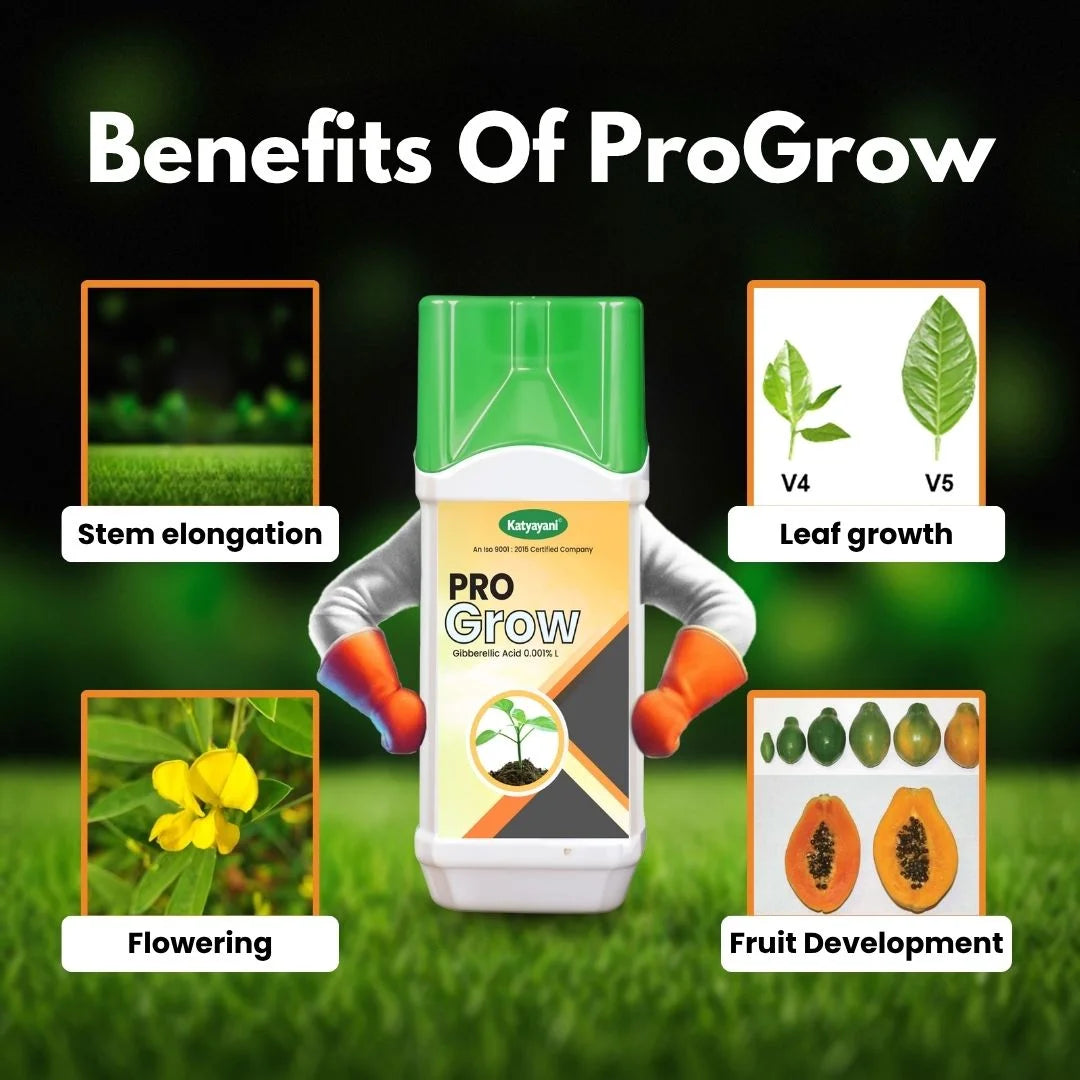 KATYAYANI  PRO GROW (GIBBERELLIC ACID 0.001% L)  | PLANT GROWTH REGULATOR FOR LEAF GROWTH, FLOWERING