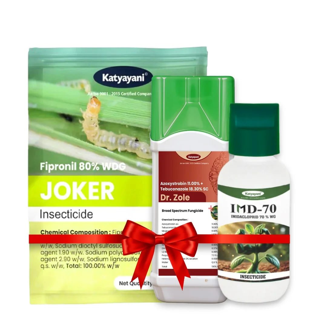 Katyayani Pyaaz kheti sooraksha kit