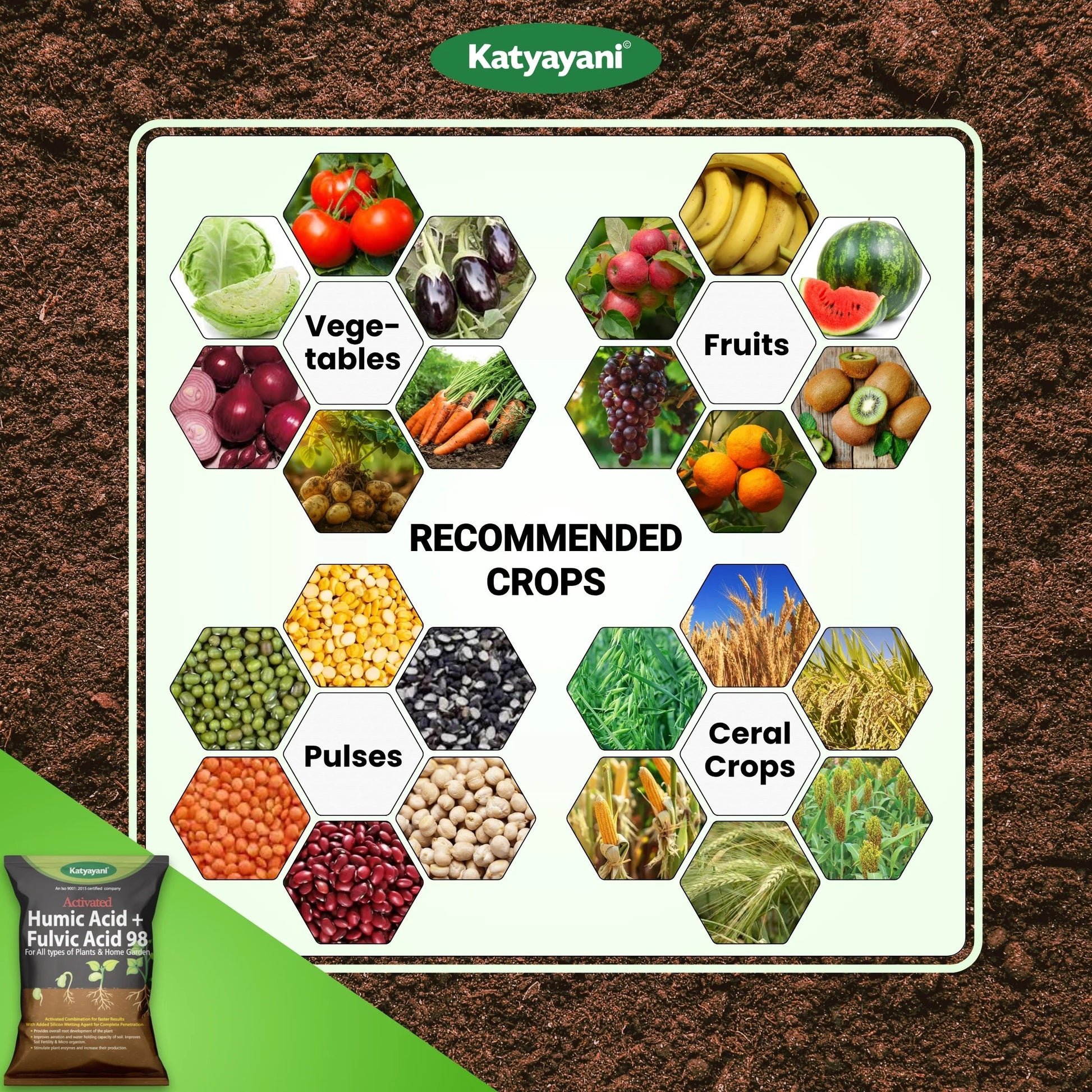 Katyayani Activated Humic Acid + Fulvic Acid 98 Fertilizer for Crop Nutrition & Root Growth (Bulk Quantity)