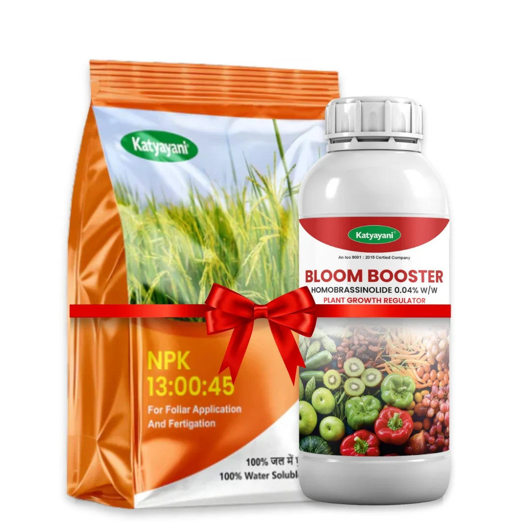 Katyayani Sabji Booster Combo – Boost Flowering, Fruit Setting, and Yield