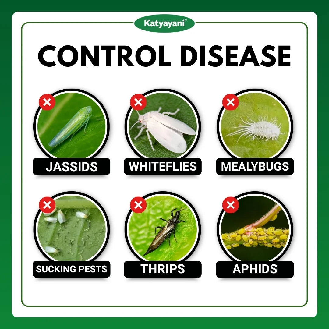 Katyayani Sarvashakti Insecticide | Control Insects of All Vegetable Crops