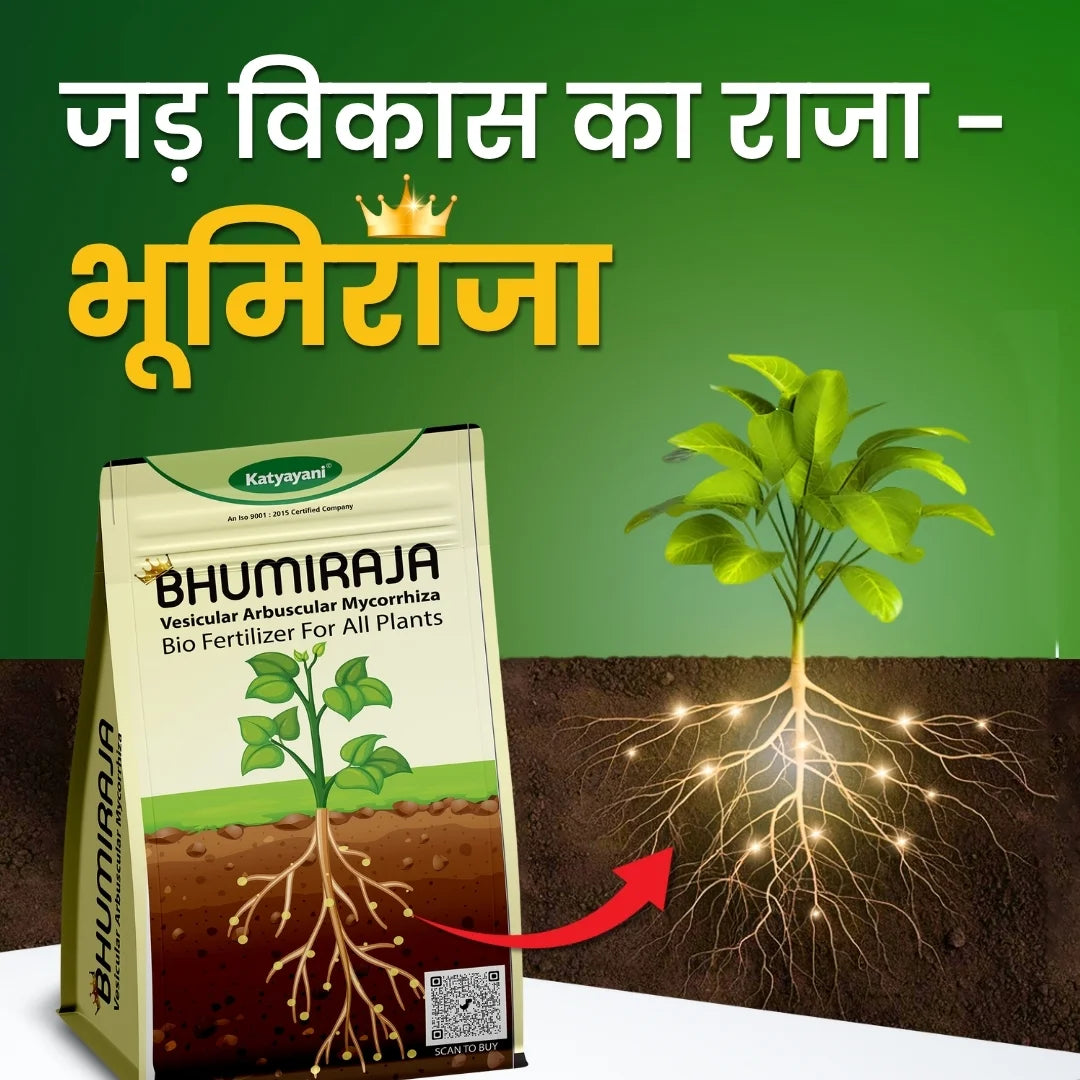 Mycorrhiza fertilizer for root growth in hindi