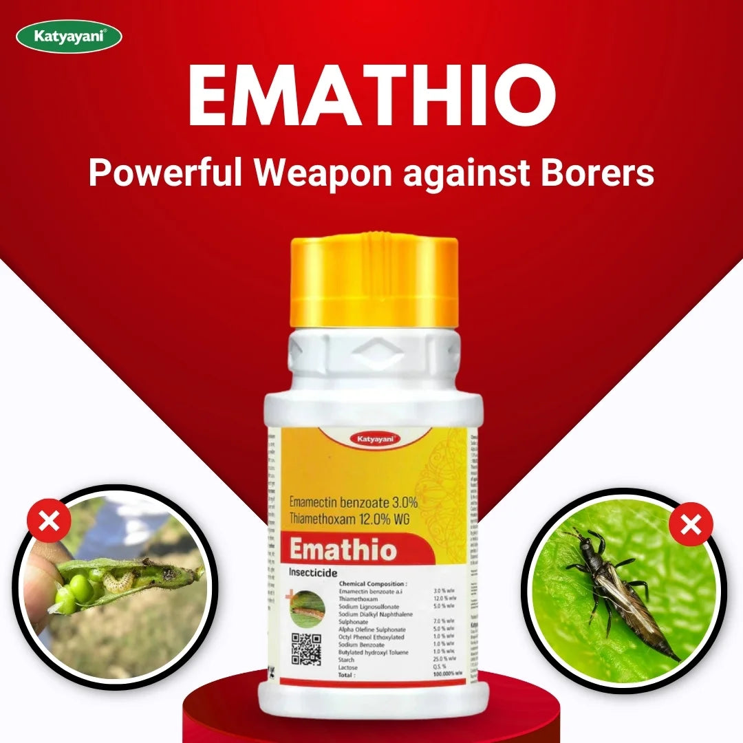 KATYAYANI EMATHIO | EMAMECTIN BENZOATE 3% + THIAMETHOXAM 12% WG | CHEMICAL INSECTICIDE