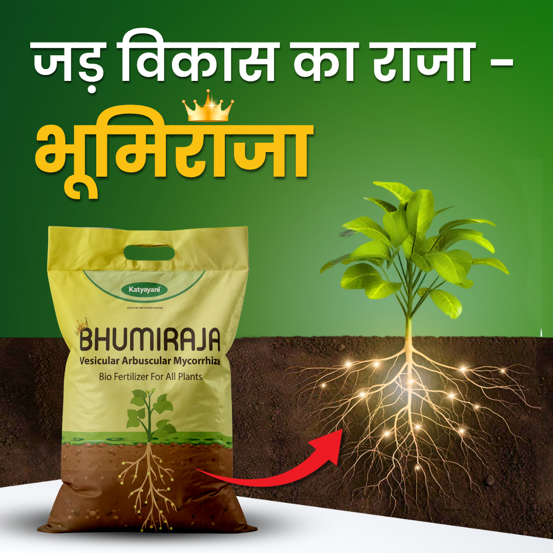 Katyayani Bhumiraja (Mycorrhiza Fertilizer) | Best For Root Growth