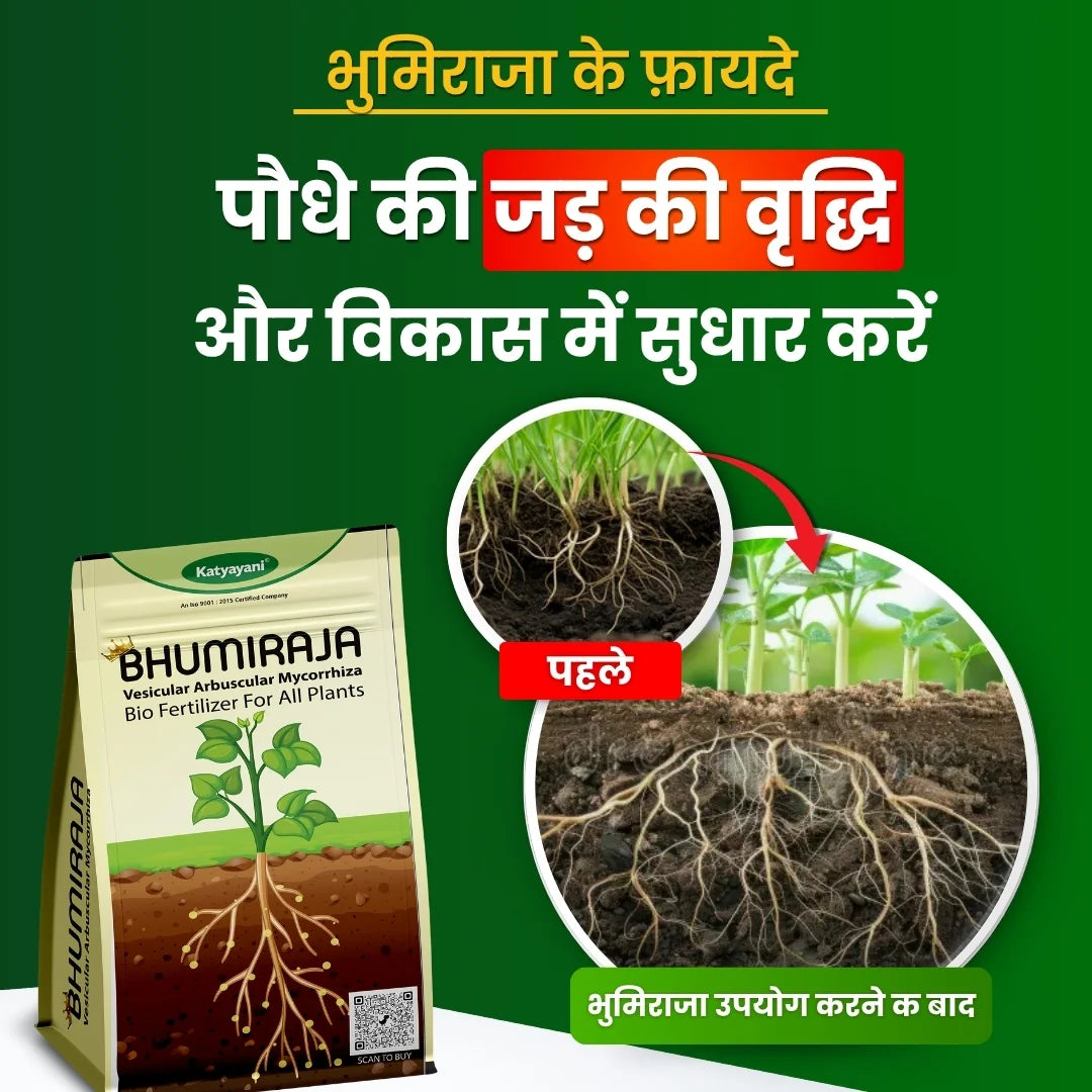 Mycorrhiza fertilizer uses in hindi