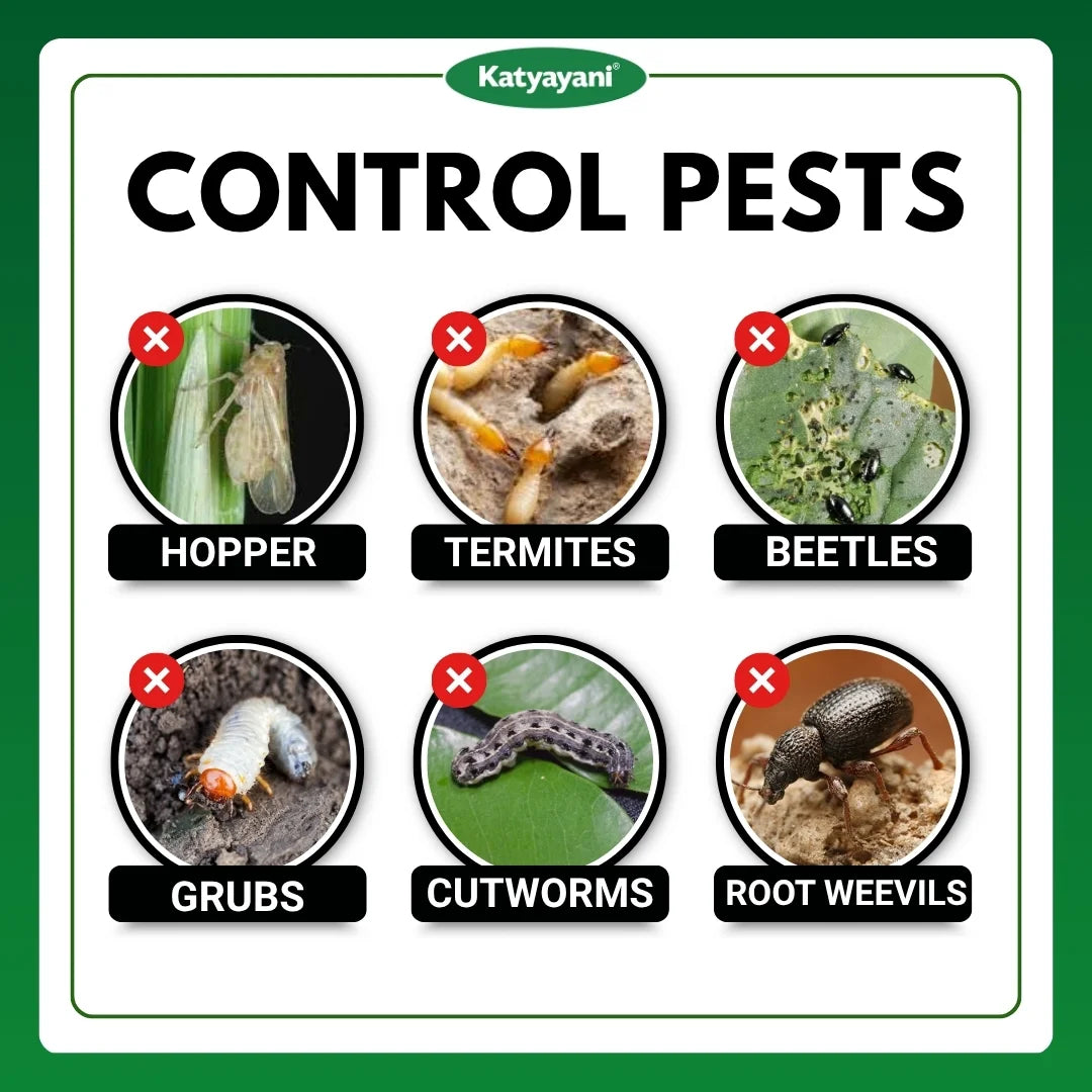 Katyayani Metarhizium Anisopliae | Powder Bio Insecticide