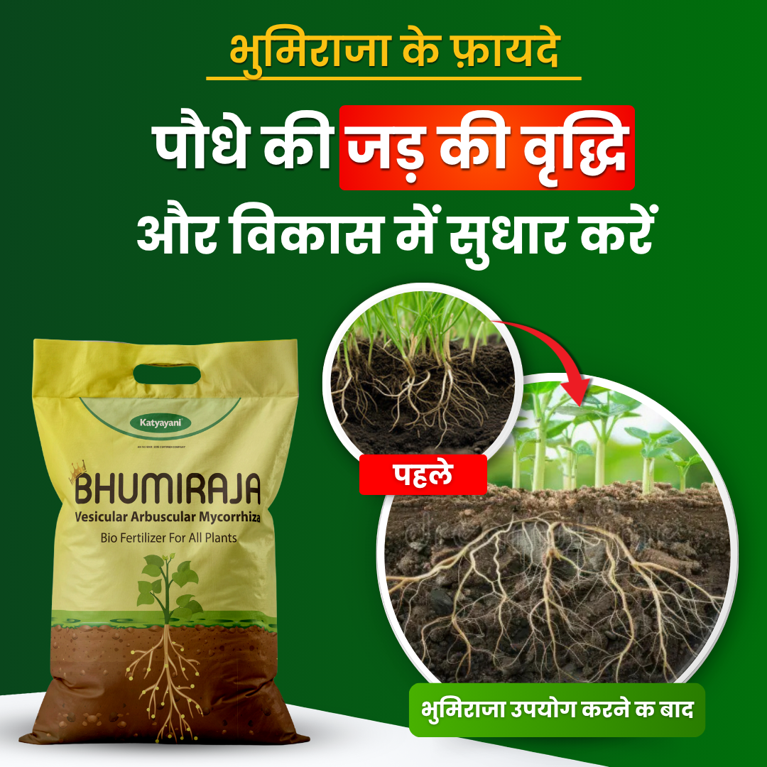 Katyayani Bhumiraja (Mycorrhiza Fertilizer) | Best For Root Growth