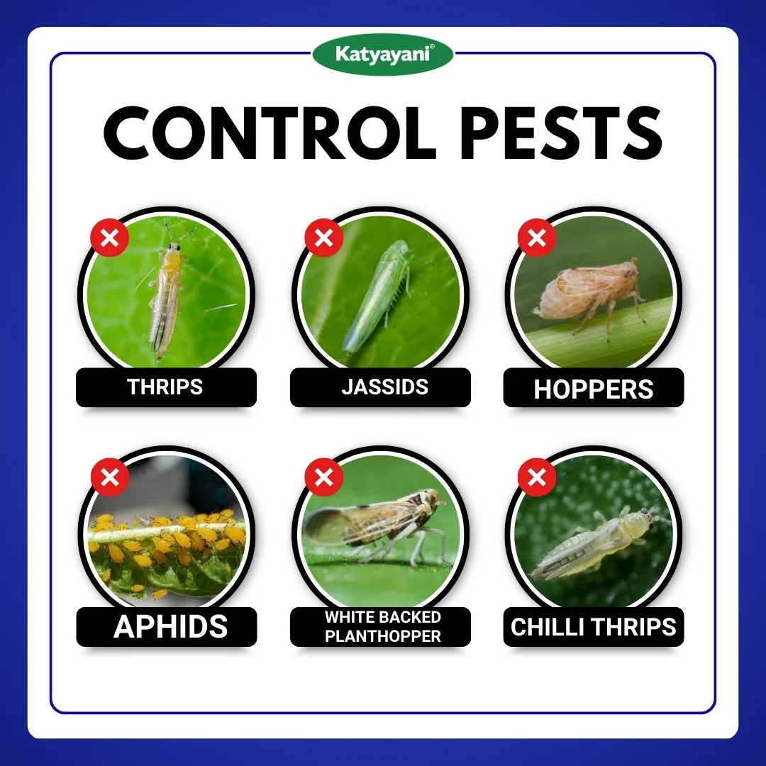 Katyayani Imida | Imidacloprid 30.5% SC Insecticide | Best result on all sucking pest