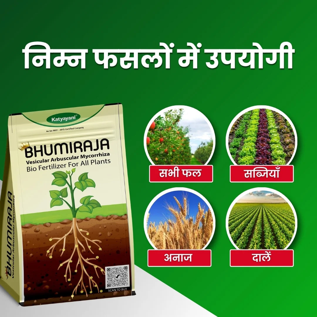 Mycorrhiza fertilizer for crops