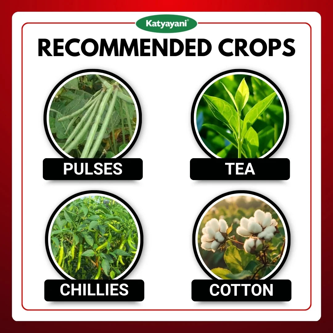 KATYAYANI EMATHIO | EMAMECTIN BENZOATE 3% + THIAMETHOXAM 12% WG | CHEMICAL INSECTICIDE