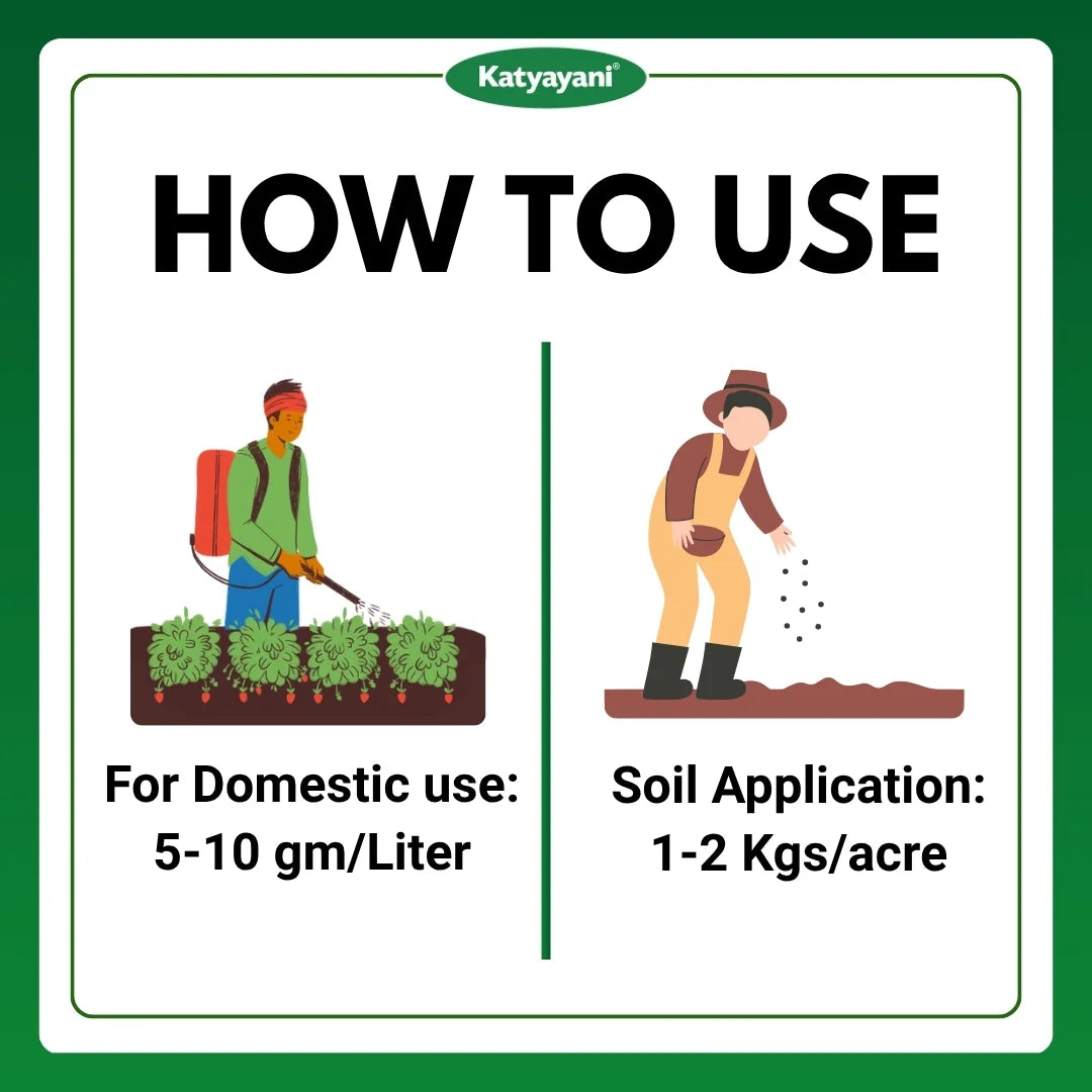 Katyayani Metarhizium Anisopliae | Powder Bio Insecticide