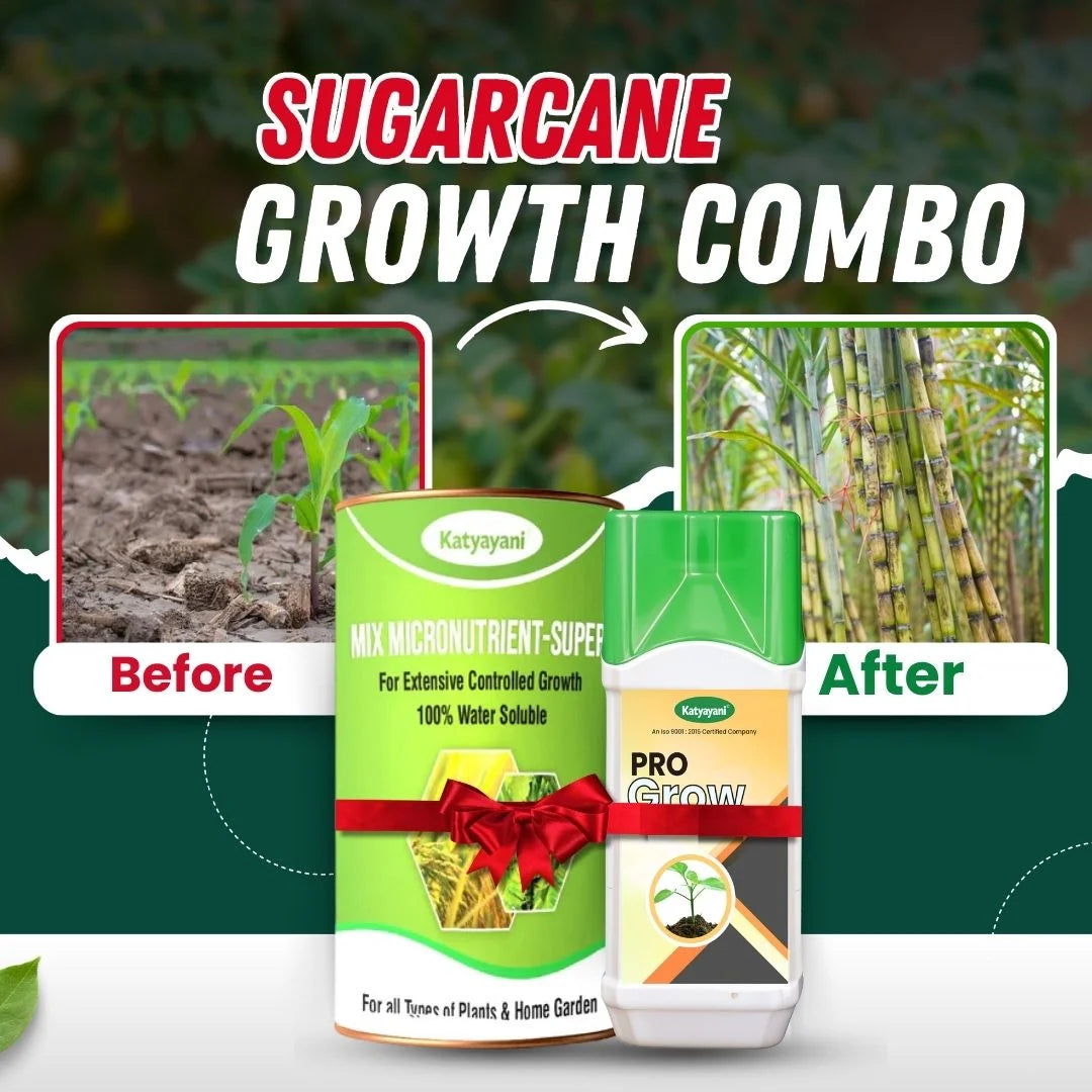 Katyayani Sugarcane Growth Combo - Yield Booster