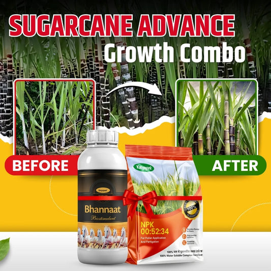 Katyayani Sugarcane Advance Growth Combo