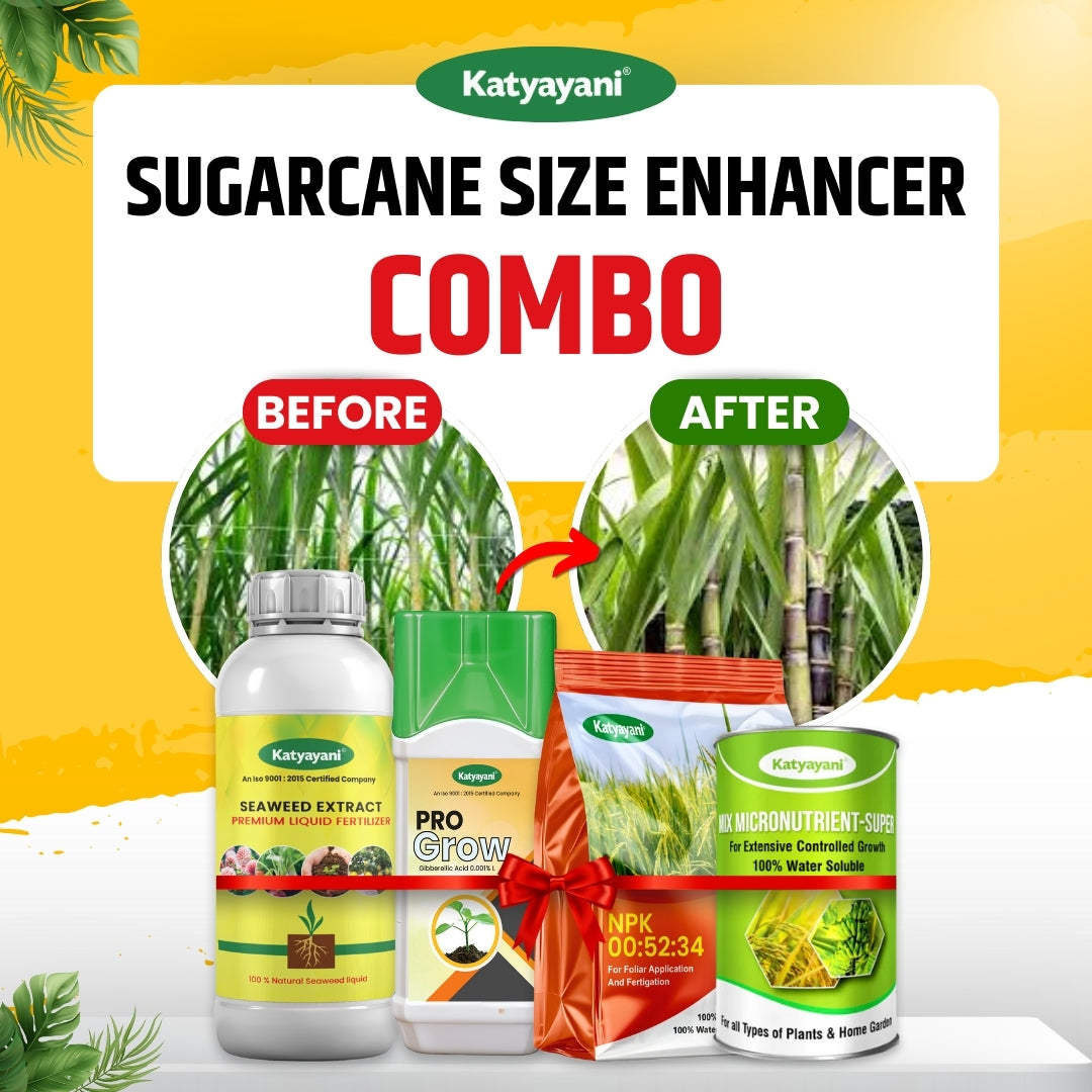 Sugarcane Yield Enhancer Combo (Seaweed Extract - 250ml +Mix Micro - 100gm +Gibberelic Acid - 250ml +Npk 00 52 34 - 1kg)