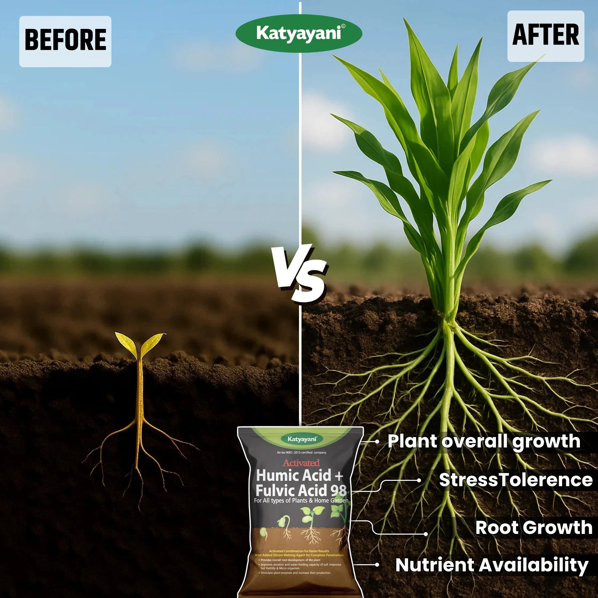 Katyayani Activated Humic Acid + Fulvic Acid 98 Fertilizer for Crop Nutrition & Root Growth (Bulk Quantity)